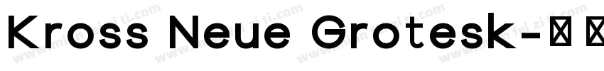 Kross Neue Grotesk字体转换